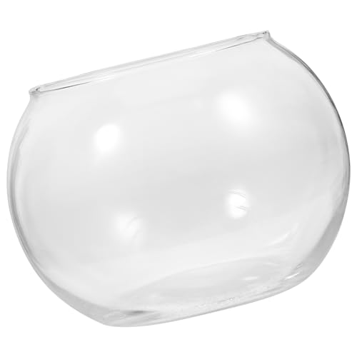 Alasum 2 Stück Glasfischtank Fleischig Pflanzenterrarium Terrarium Pflanzentopf Flasche Pflanzenbehälter Drinnen Terrarienglas Moos Dekoration Landschaft Terrarium Terrariumbehälter Alasum 2 Stück Glasfischtank Fleischig Pflanzenterrarium Terrarium Pflanzentopf Flasche Pflanzenbehälter Drinnen Terrarienglas Moos Dekoration Landschaft Terrarium Terrariumbehälter von Alasum