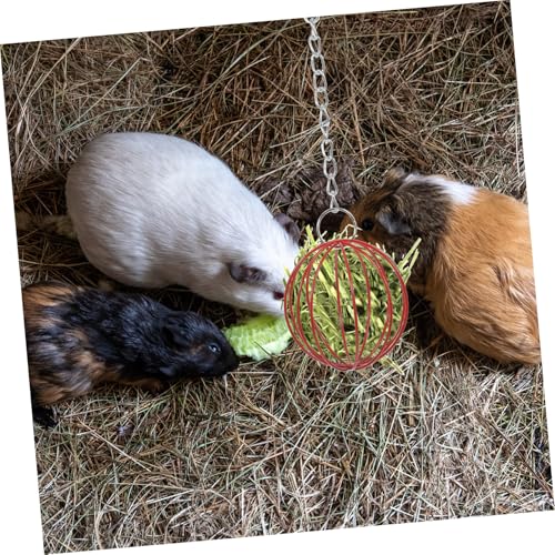 Alasum 2 Stück Kaninchen Futterball aus Langlebigem Eisen Wiederbefüllbarer Grasspender mit Aufhängung Multifunktionales Kleintier Zwergkaninchen und Meerschweinchen Robust und Sicher von Alasum