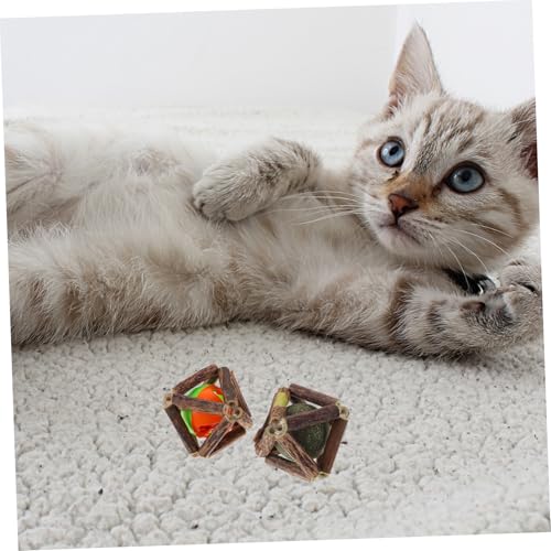 Alasum 2 Stück Natürliche Katzenminze Kaubälle Kleine Kausticks für Katzenzahnpflege Stresslinderndes Indoor Zahnreinigung und Verdauungsförderung Schadstofffrei und Sicher von Alasum