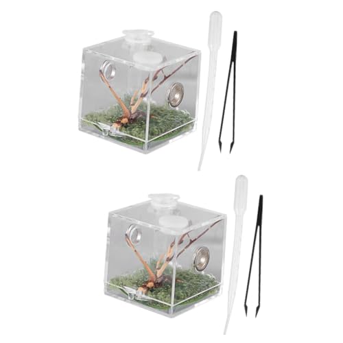 Alasum 2 Stück Springspinnen Zuchtbox Reptilien Terrarium Lebensraum Für Springspinnen Kleines Gehege Für Transparenter Zuchtkoffer Reptiliengehege Spinnengehege Aus von Alasum