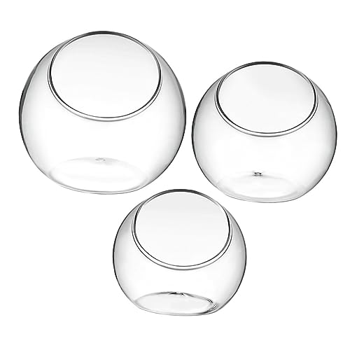 Alasum 3 Stück Teiliges Glas Terrarium Mikrolandschaft Wasserpflanzen Flaschengarten Sukkulenten Moosflasche Tischdekoration Langlebig und Leicht zu Reinigen von Alasum