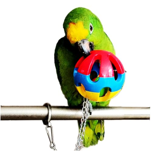 Alasum Papageienballspielzeug 3 Stück Pädagogisches Vogelspielzeug mit Ausgehöhltem Design für Nymphensittiche Sittiche und Andere Kleine Vögel Spielzeug zur Fähigkeiten und Unterhaltung von Alasum