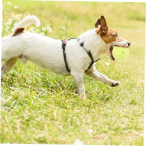 Alasum 4 Stück TPR Quietschender Hundeball Langlebig und Sicher Kauspielzeug für Aggressive Kauer zur Zahnpflege und Kaumuskulaturförderung Interaktives für Hunde Zufällige Farbe von Alasum