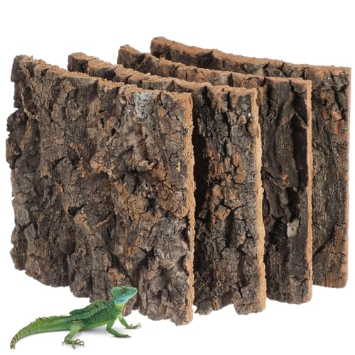 Alasum 4Stücke Korkrinde für Reptilien Teiliges für Terrarium Dekoration Langlebig und Realistisch für Geckos Echsen Frösche und Bartagamen von Alasum