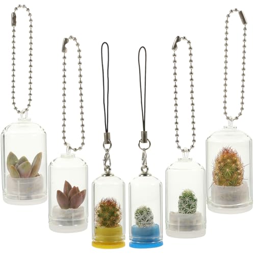 Alasum 6Stücke Miniatur Pflanzenvase Schlüsselanhänger Transparentes für Kreative Pflanzen Dekoration für Mikropflanzen und Schlüsselbund Dekoration Einfache Anwendung von Alasum