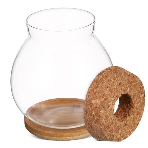 Alasum Fischschale Hydroponisches Desktop Aquarium mit Bambusunterlage Transparentes Kleines Terrarium für Wasserpflanzen und Betta Dekoration für Wohnzimmer Büro von Alasum