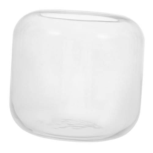 Alasum Glasflasche Fischschüssel Vase Kleine Glas Vase Gläser Glas Terrarium Schüssel Terrarium Gläser Hydroponic Pflanzen Behälter Kleiner Fischtank Keksglasglas von Alasum