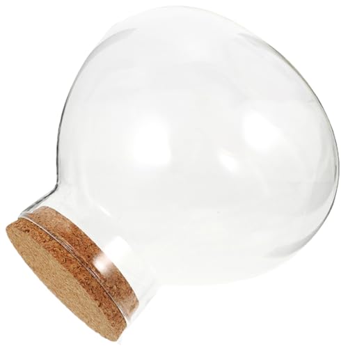 Alasum Glasflasche Mini Landschaft Terrarium Runde Dekorative Pflanzenbehälter DIY Mikrogarten Behälter für Zuhause und Büro ohne Beleuchtung von Alasum