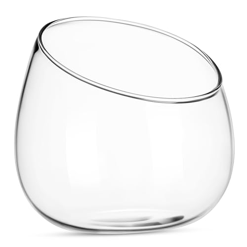 Alasum Klares Glas Terrarium Kleine Pflanzschale für Sukkulenten und Moos Vielseitige Dekorative Vase für Indoor Blumentöpfe als Tischdeko und Planter von Alasum