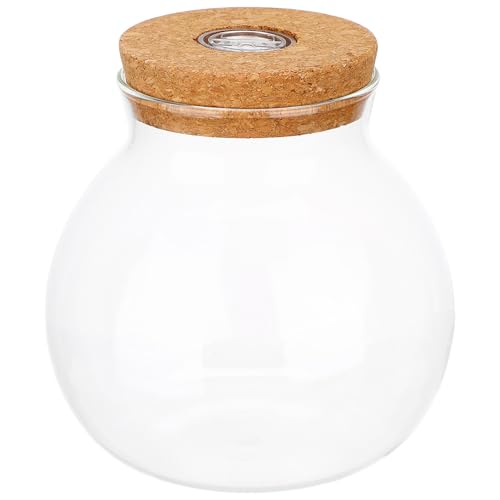 Alasum LED Glasflasche für Mikro Landschaften mit Beleuchtung DIY Terrarium Halter für Fische und Pflanzen für Wohnzimmer Schlafzimmer Büro und Transparentes Design zur Klaren Sicht Alasum LED Glasflasche für Mikro Landschaften mit Beleuchtung DIY Terrarium Halter für Fische und Pflanzen für Wohnzimmer Schlafzimmer Büro und Transparentes Design zur Klaren Sicht von Alasum