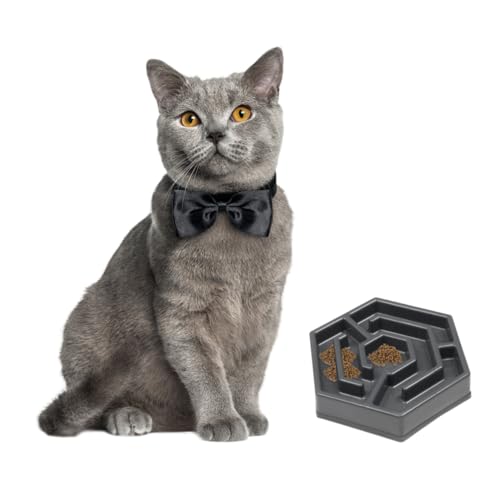 Alasum Langsam Fressender Pet Bowl für Katzen und Kleine Hunde Blumenförmiger Flacher Futternapf aus Strapazierfähigem Resin mit Rutschfesten Pads Sicher und Verschüttungsfrei von Alasum