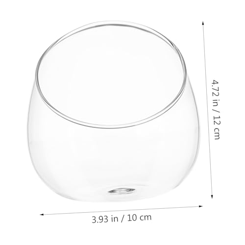 Alasum Micro Landscape Ecological Flasche aus Dickem Transparentglas Langlebig und Schräg als Dekoratives Terrarium für Sukkulenten und Pflanzen für Zuhause und Büro Stilvolles Ornament von Alasum