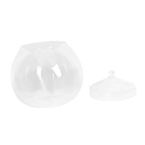 Alasum Micro Landscape Terrarium Glasflasche mit Zufälligem Deckel Transparentes DIY Moos Pflanzen Flaschengarten Langlebiges für Kreative Innenraumdekoration und Vielseitig Einsetzbar von Alasum