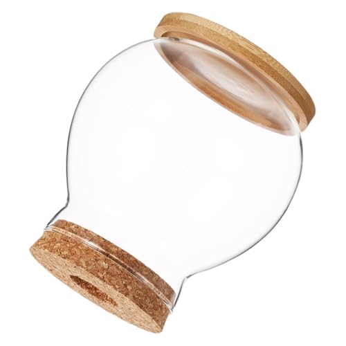 Alasum Mini Glas Fischschale mit Elegantem Holzdeckel Klarer Hydroponik Fischtank für Betta Kleines Aquarium mit Transparentem Glas Kompakt für Schreibtisch Büro und Dekoration von Alasum
