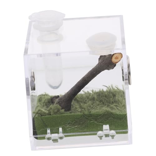 Alasum Transparente Haustier Ausstellungsbox für Reptilien und Insekten Zuchtbehälter für Spinnen Beobachten Belüftet und Langlebig für Kleine von Alasum