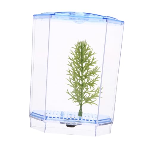 Alasum Transparenter Mini Fischtank Kunststoff Aquarium Terrarium Desktop Dekoration Kleiner Living Landscape Behälter Vielseitig als Pflanzengefäß Leicht zu Reinigen und Beobachten von Alasum
