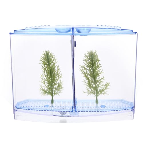 Alasum Transparentes Mini-Aquarium Fischzuchtbox aus Klarem Kunststoff Desktop Fischbecken mit Doppelkammer für Zucht und Aufzucht Kleiner Fische als Laichkasten und Aquarien-deko von Alasum