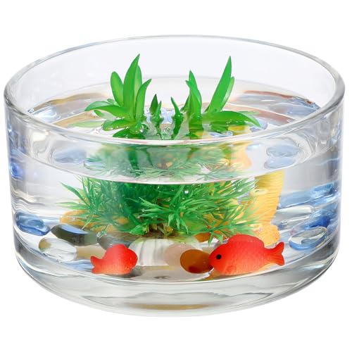 Alasum Transparentes Terrarium Pflanzvase für Dekorative Zwecke für Pflanzenzucht von Alasum