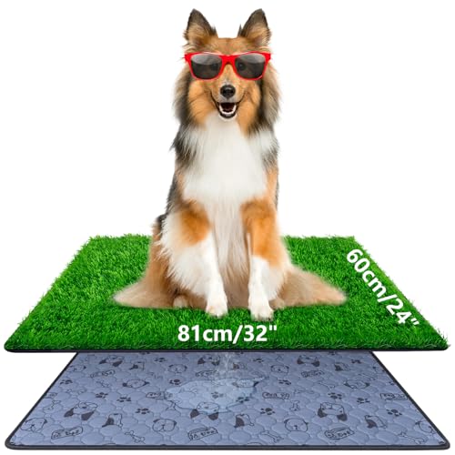 81x60 cm Hundeklo Hundetoilette Welpentoilette mit Kunstrasen, Hochdurchlässiger Hundetoilette Welpenklo Haustiertoilette, mit Waschbar und Wiederverwendbar Trainingsunterlage für drinnen und draußen 81x60 cm Hundeklo Hundetoilette Welpentoilette mit Kunstrasen, Hochdurchlässiger Hundetoilette Welpenklo Haustiertoilette, mit Waschbar und Wiederverwendbar Trainingsunterlage für drinnen und draußen von Alckijy