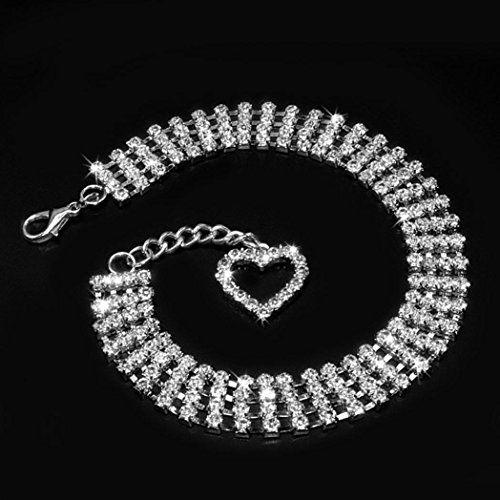 Alcyoneus Bling Strass Hundehalsbänder Welpe Halskette mit Herz Charm süß für kleine Hunde Größe M (Silber) von Alcyoneus