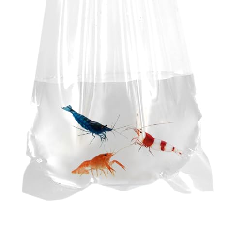 AlfaEx Fischerbeutel, auslaufsicher, abgerundeter Boden, transparente Kunststoff-Fischbeutel für Betta und kleine Fische, wasserdicht, 7,6 x 35,6 cm, 100 Stück von AlfaEx
