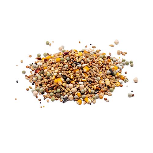 Alfana Hausmischung Taubenfutter 25 kg mit Perlmais und Leinsamen Alfana Hausmischung Taubenfutter 25 kg mit Perlmais und Leinsamen von Alfana
