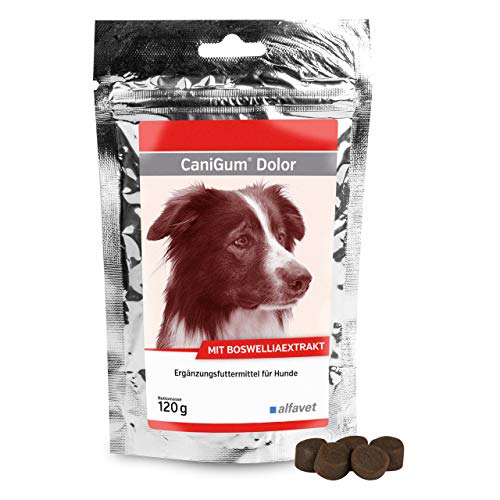 Alfavet CaniGum Dolor 120 g- Ergänzungsfuttermittel für Hunde Mit Boswelliaextrakt. Alternatives Schmerzmittel von Alfavet