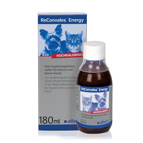 Alfavet ReConvales Energy, in der Rekonvaleszenz, bei Untergewicht und bei hepatischer Lipidose der Katze hochkalorisch, Glasflasche 180ml von Alfavet
