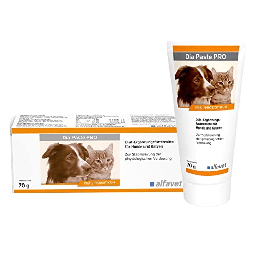 Alfavet Dia Paste PRO, Diät-Ergänzungsfuttermittel bei Durchfall, für Hunde und Katzen, Präbiotikum Probiotikum, 70g Tube von Alfavet