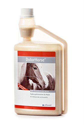 alfavet DolorHorse unterstützt den Bewegungsapparat des Pferdes mit Weidenrinde und Boswellia, Ergänzungsfuttermittel, 1000ml von Alfavet