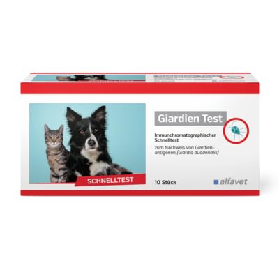 Alfavet Giardien Test, Schnelltest für Hund, Katze und Kleintiere, Qualitativer Nachweis von Giardia-Zysten und Trophozoiten, 10 Tests von Alfavet