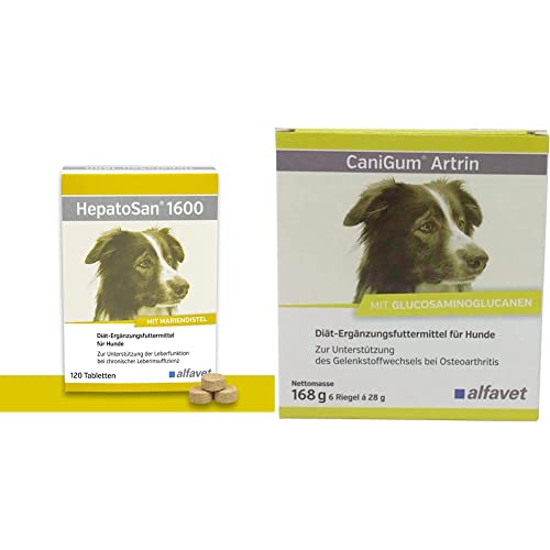Alfavet Hepatosan 1600 für Hunde bei chronischer Leberinsuffizienz, Diät-Ergängzungsfuttermittel, 120 Tabletten & CaniGum Artrin, Ergänzungsfutter für Hunde unterstützt Gelenke, Kauriegel 168g von Alfavet