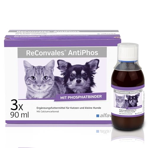 Alfavet ReConvales AntiPhos, zur Unterstützung der Nierenfunktion von Katzen und Hunden, Nahrungsergänzung mit Phosphatbinder, 3 x 90ml Flaschen von Alfavet