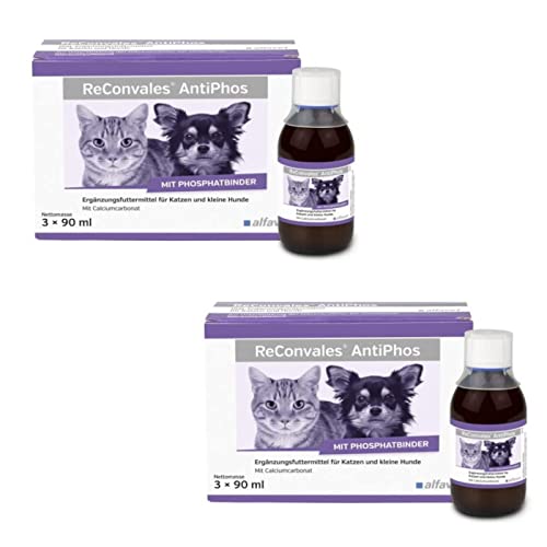 Alfavet ReConvales AntiPhos | Doppelpack | 2 x 3 x 90 ml | Ergänzungsfuttermittel für Hunde und Katzen | Kann zur Unterstützung der Nierenfunktion beitragen | Flasche von Alfavet