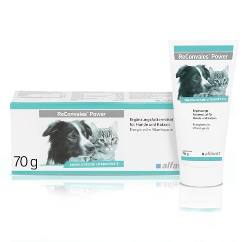 Alfavet ReConvales Power, Diät-Ergänzungsfuttermittel für Hunde und Katzen, Päppelpaste bei Untergewicht, Tube 70g von Alfavet