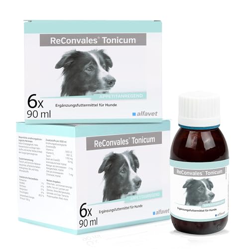 alfavet ReConvales Tonicum Hund, Doppelpack, appetitanregendes Ergänzungsfuttermittel zur Rekonvaleszenz und bei Untergewicht, 2 x 6x90 ml Flasche von Alfavet