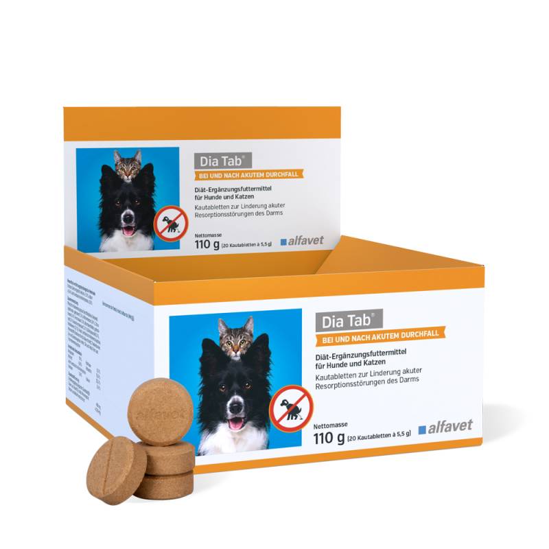 DIA TAB Kautabletten - 20 x 5,5 g DIA TAB Kautabletten - 20 x 5,5 g von Alfavet
