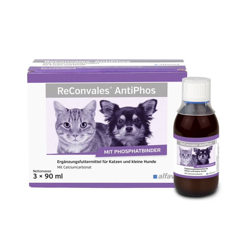 ReConvales AntiPhos - 3 x 90 ml ReConvales AntiPhos - 3 x 90 ml von Alfavet
