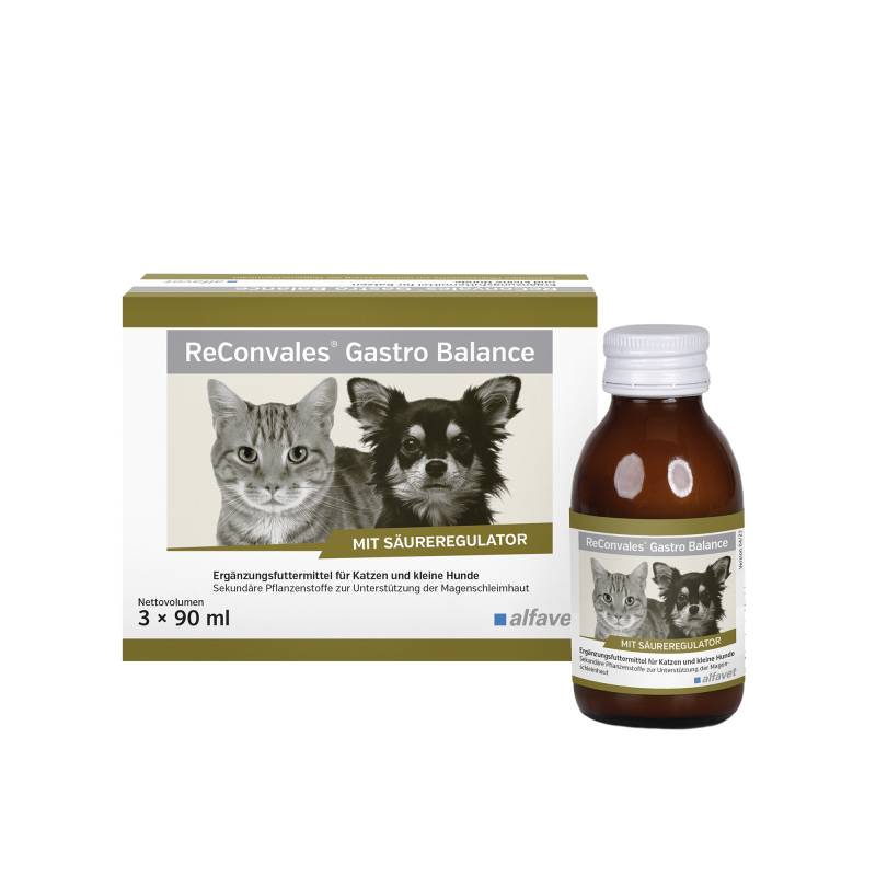 ReConvales Gastro Balance - 3 x 90 ml ReConvales Gastro Balance - 3 x 90 ml von Alfavet