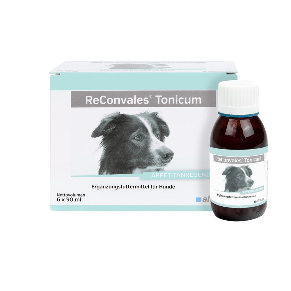 ReConvales Tonicum Hund - 6 x 90 ml von Alfavet
