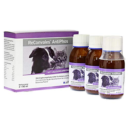 ReConvales Antiphos 3 x 90 ml-Ergänzungsfuttermittel zur Unterstützung der Nierenfunktion bei chronischer Niereninsuffizienz von Alfavet