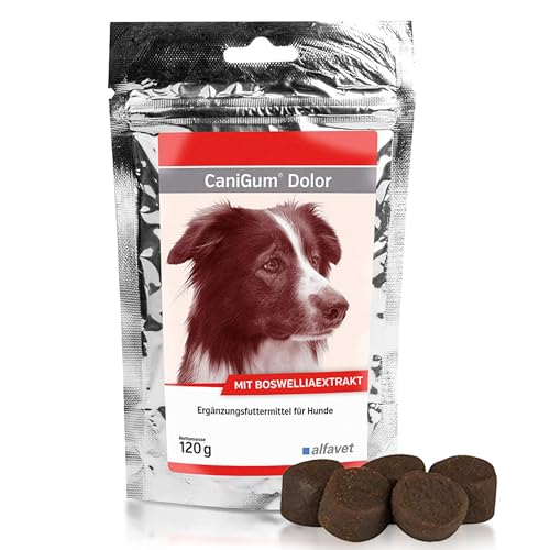 alfavet CaniGum Dolor - Mit EPA und DHA, Weidenrinden- und Boswelliaextrakt, 1er Pack (1 x 120 kilograms) von Alfavet