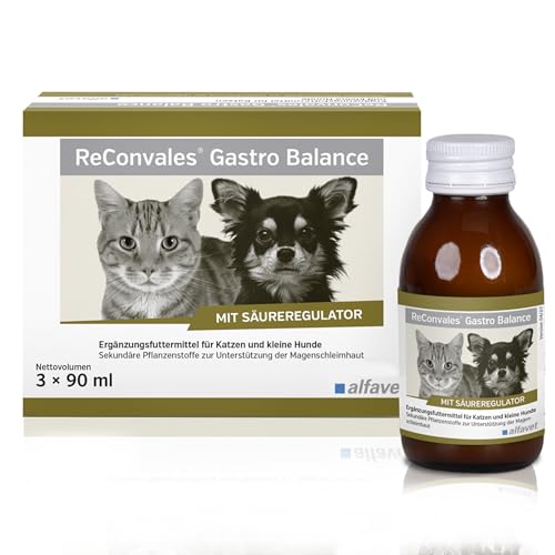 Alfavet, ReConvales Gastro Balance für Katze und Hund, zur Pflege der Magenschleimhaut mit Säureregulator, Ergänzungsfuttermittel, 3x90ml Liquid von Alfavet