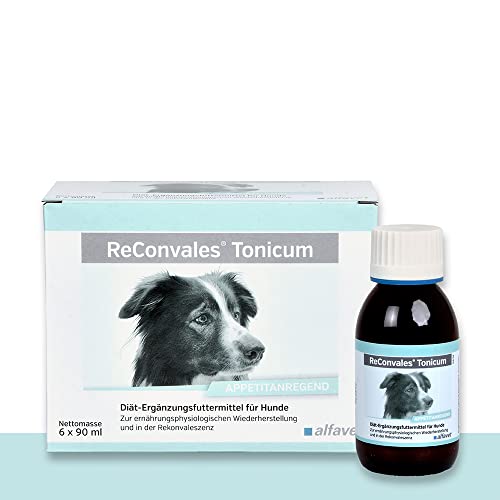 alfavet ReConvales Tonicum Hund, 6x90 ml Flasche, appetitanregendes Ergänzungsfuttermittel zur Rekonvaleszenz und bei Untergewicht von Alfavet