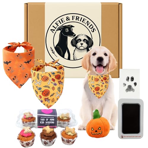 Halloween-Geschenk-Set für Hunde, mit Trio-Mini-Woofins, Plüsch-Kürbis-Spielzeug für Welpen, 2 Halstücher, Pfotenabdruck-Set, weiches Plüschtier, lustiges Geschenk für Hunde, Zubehör für kleine von Alfie & Friends