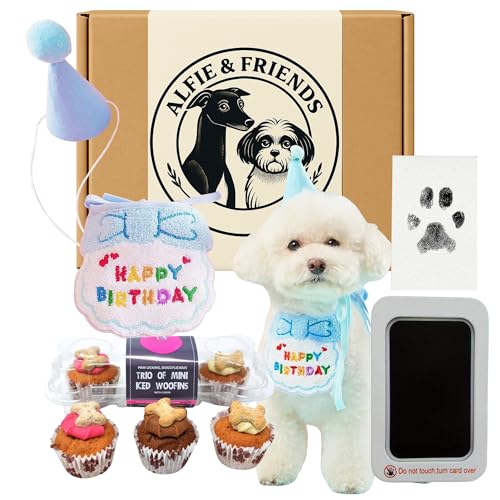 Hunde-Geburtstagskorb Geschenk-Set für Ihn – inklusive Trio-Mini-Woofin-Kuchen, Happy Birthday blauem Hunde-Lätzchen und Hut, Eis-Woofin-Kerzenkuchen und Hundepfoten-Stempel, Geschenk für von Alfie & Friends