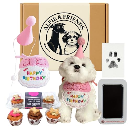 Hunde-Geburtstagskorb Geschenk-Set für Sie – inklusive Trio-Mini-Woofin-Kuchen, Happy Birthday rosa Hunde-Lätzchen und Hut, Eis-Woofin-Kerzenkuchen und Hundepfoten-Stempel, Geschenk für Tierliebhaber von Alfie & Friends