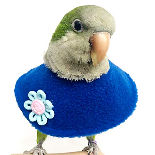 Alfie Karli Regenerationshalsband für Vögel, Blau, Größe L von Alfie