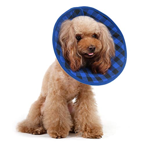 Alfie Pet Candace Hundehalsband für Hunde und Katzen, weiches Flanell, Größe L, Blau von Alfie