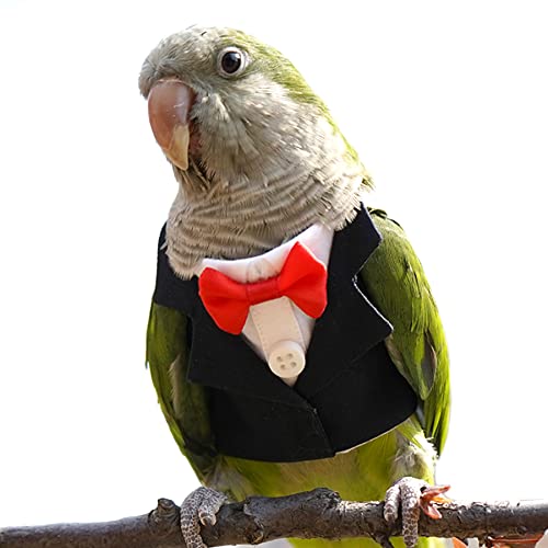 Alfie Pet – Charity Tux Kostüm für Vögel, Farbe: Schwarz, Größe: S von Alfie